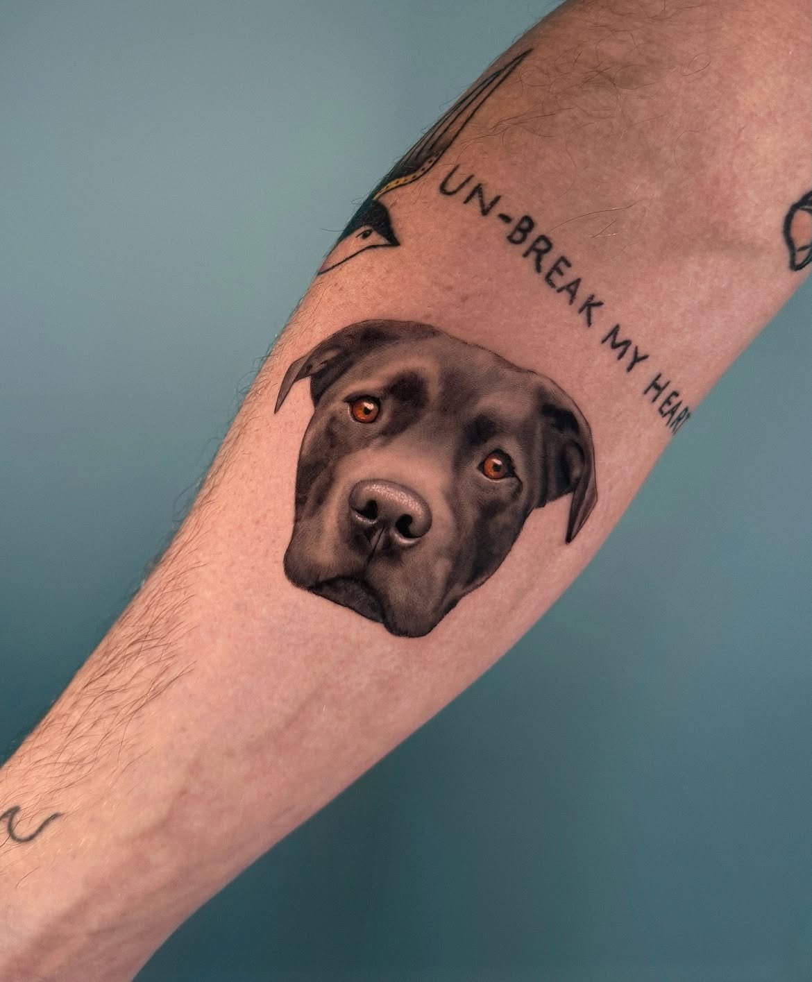 Tatuaje de mascota en Barcelona - Circa Tattoo BCN